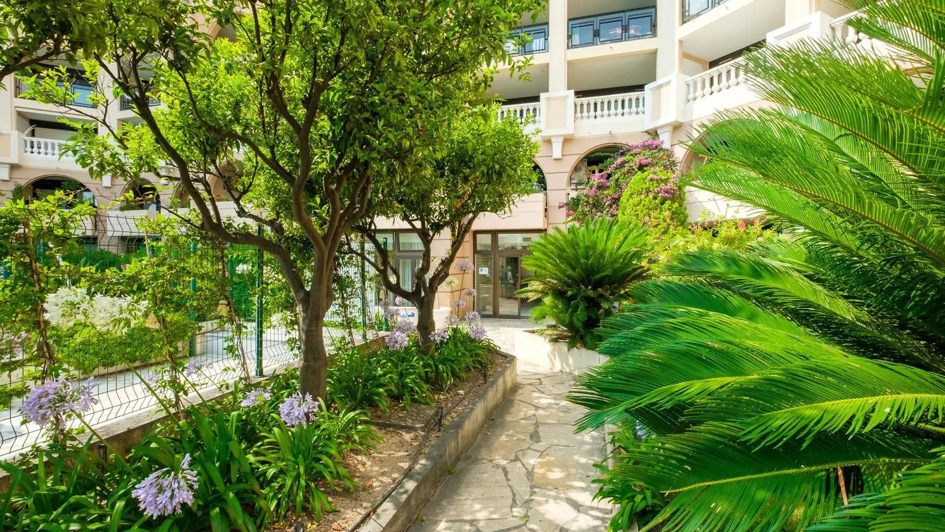 Palme D'Or Daire Cannes