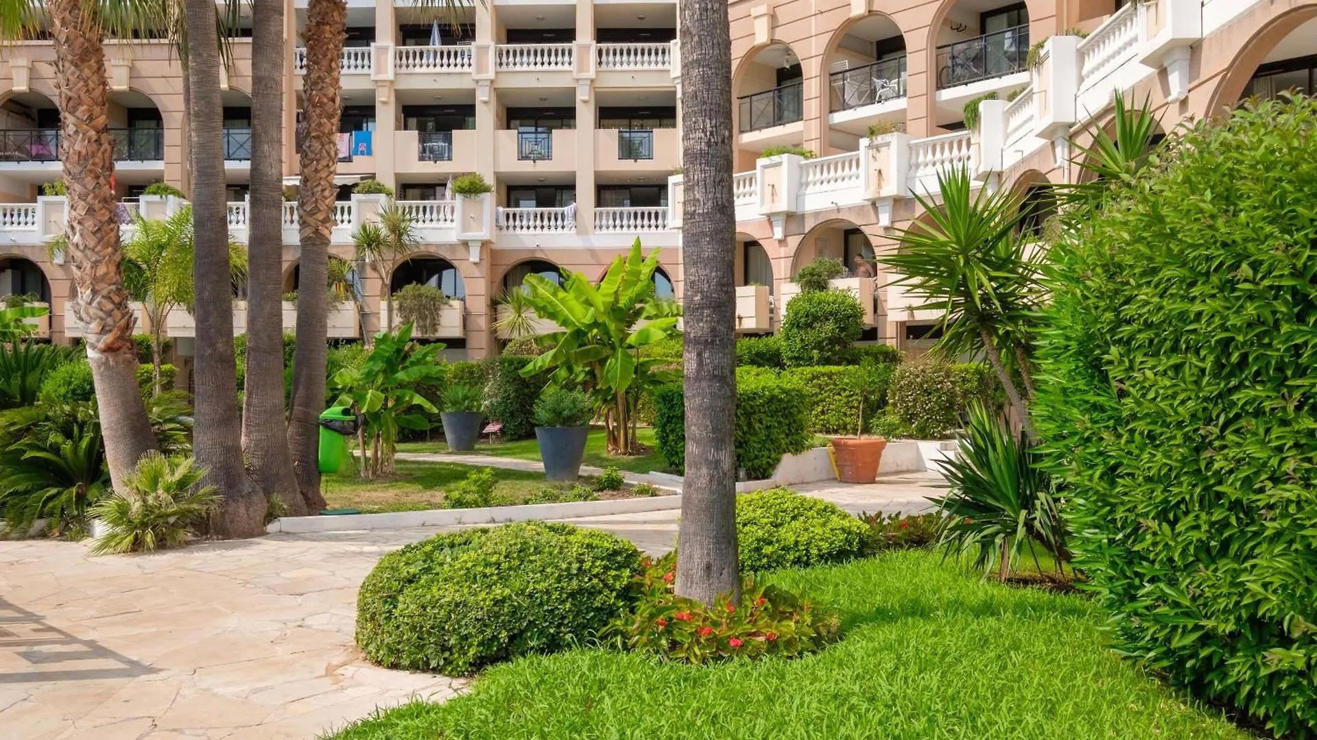 Palme D'Or Daire Cannes